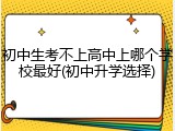 初中生考不上高中上哪个学校最好(初中升学选择)
