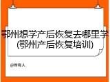 鄂州想学产后恢复去哪里学(鄂州产后恢复培训)
