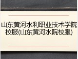 山东黄河水利职业技术学院校服(山东黄河水院校服)