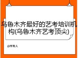 乌鲁木齐最好的艺考培训机构(乌鲁木齐艺考顶尖)