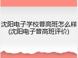 沈阳电子学校普高班怎么样(沈阳电子普高班评价)