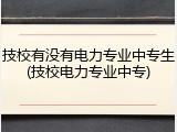 技校有没有电力专业中专生(技校电力专业中专)