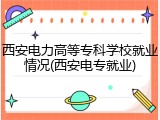 西安电力高等专科学校就业情况(西安电专就业)