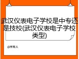 武汉仪表电子学校是中专还是技校(武汉仪表电子学校类型)