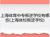 上海体育中专叛逆学校有哪些(上海体校叛逆学校)