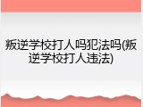 叛逆学校打人吗犯法吗(叛逆学校打人违法)
