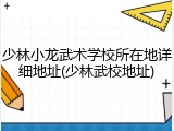少林小龙武术学校所在地详细地址(少林武校地址)