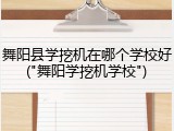 舞阳县学挖机在哪个学校好("舞阳学挖机学校")