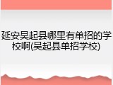 延安吴起县哪里有单招的学校啊(吴起县单招学校)