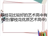 攀枝花比较好的艺术高中有哪些(攀枝花优质艺术高中)