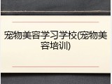 宠物美容学习学校(宠物美容培训)