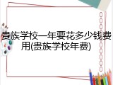 贵族学校一年要花多少钱费用(贵族学校年费)
