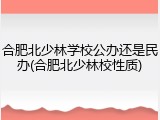 合肥北少林学校公办还是民办(合肥北少林校性质)