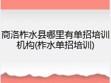 商洛柞水县哪里有单招培训机构(柞水单招培训)