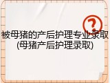 被母猪的产后护理专业录取(母猪产后护理录取)