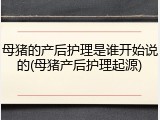母猪的产后护理是谁开始说的(母猪产后护理起源)