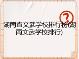 湖南省文武学校排行榜(湖南文武学校排行)