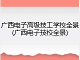 广西电子高级技工学校全景(广西电子技校全景)