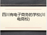 四川有电子商务的学校(川电商校)