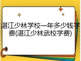 湛江少林学校一年多少钱学费(湛江少林武校学费)