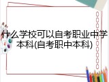 什么学校可以自考职业中学本科(自考职中本科)