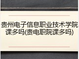贵州电子信息职业技术学院课多吗(贵电职院课多吗)