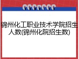 锦州化工职业技术学院招生人数(锦州化院招生数)