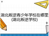 湖北叛逆青少年学校在哪里(湖北叛逆学校)