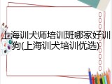 上海训犬师培训班哪家好训狗(上海训犬培训优选)