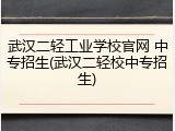 武汉二轻工业学校官网 中专招生(武汉二轻校中专招生)