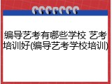 编导艺考有哪些学校 艺考培训好(编导艺考学校培训)