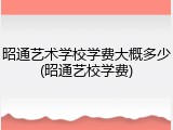 昭通艺术学校学费大概多少(昭通艺校学费)