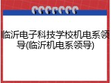 临沂电子科技学校机电系领导(临沂机电系领导)
