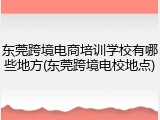 东莞跨境电商培训学校有哪些地方(东莞跨境电校地点)