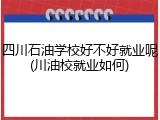 四川石油学校好不好就业呢(川油校就业如何)