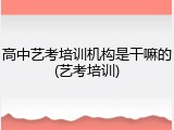 高中艺考培训机构是干嘛的(艺考培训)