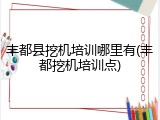 丰都县挖机培训哪里有(丰都挖机培训点)