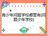 青少年问题学校哪里有(问题少年学校)