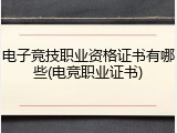 电子竞技职业资格证书有哪些(电竞职业证书)