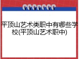 平顶山艺术类职中有哪些学校(平顶山艺术职中)