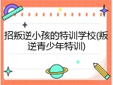 招叛逆小孩的特训学校(叛逆青少年特训)