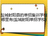 盐城射阳县的单招集训学校哪里有(盐城射阳单招学校)