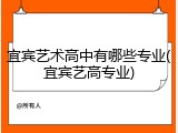 宜宾艺术高中有哪些专业(宜宾艺高专业)