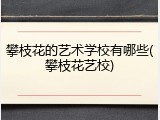 攀枝花的艺术学校有哪些(攀枝花艺校)