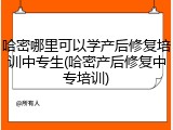 哈密哪里可以学产后修复培训中专生(哈密产后修复中专培训)