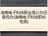 湖南电子科技职业是公办还是民办(湖南电子科技职校性质)