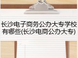 长沙电子商务公办大专学校有哪些(长沙电商公办大专)