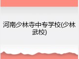 河南少林寺中专学校(少林武校)