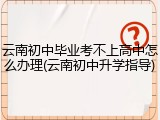 云南初中毕业考不上高中怎么办理(云南初中升学指导)