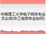 华南理工大学电子商务专业怎么样(华工电商专业如何)